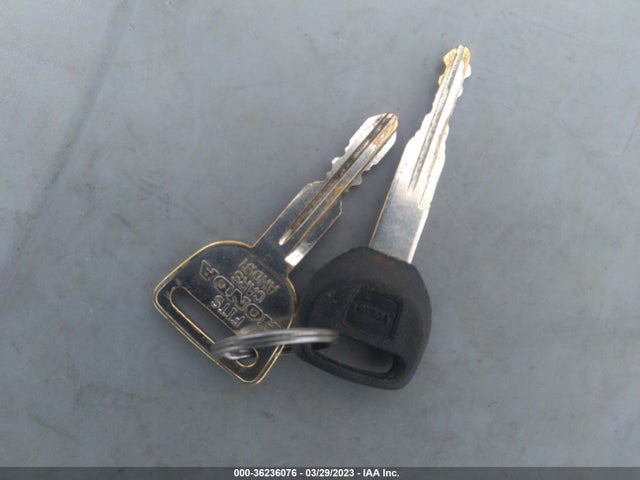 1991 HONDA ACCORD LX VIN: 1HGCB9859MA022656