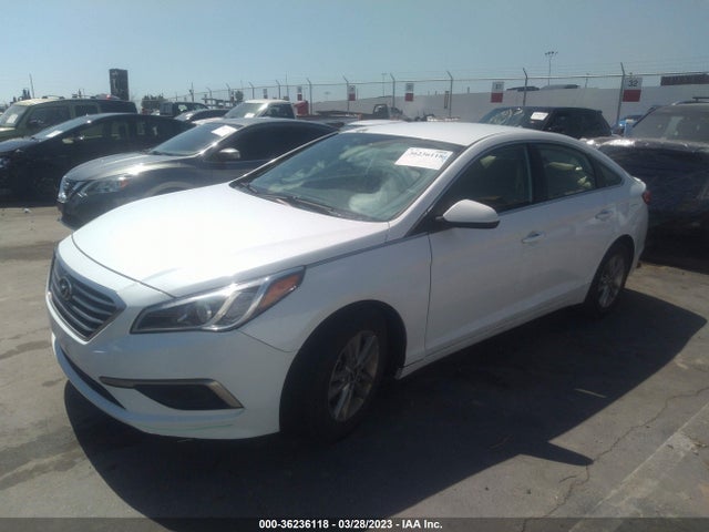 Hyundai Sonata 2.4l Se 2016 5NPE24AF9GH322630 Image 2