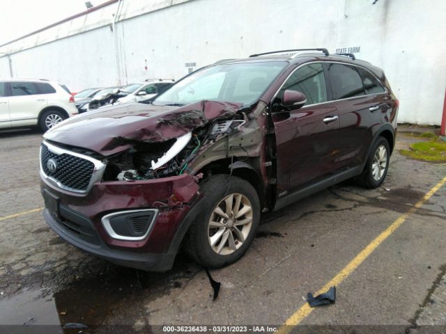 5XYPGDA36JG377597 KIA SORENTO LX