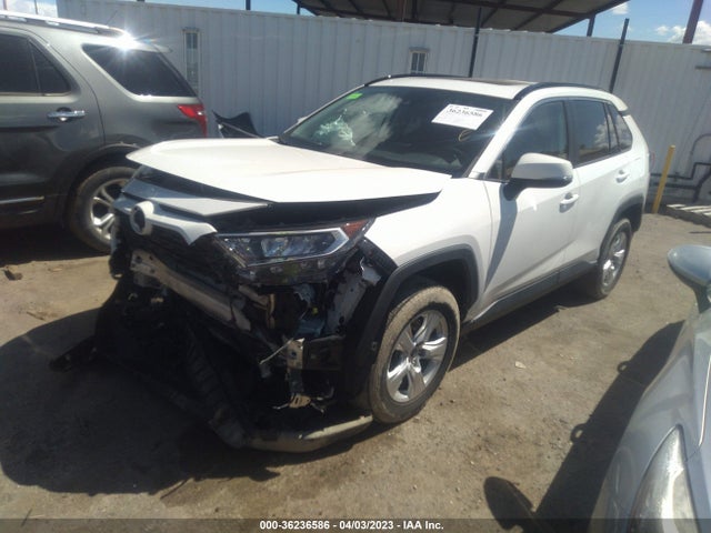 Toyota Rav4 Xle 2019 JTMW1RFVXKD500919 Image 2