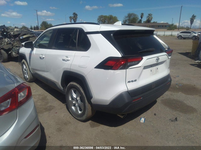 Toyota Rav4 Xle 2019 JTMW1RFVXKD500919 Image 3