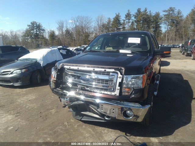 Ford F-150 Xl/xlt/fx4/lariat 2014 1FTFW1ET1EKF00567 Image 4