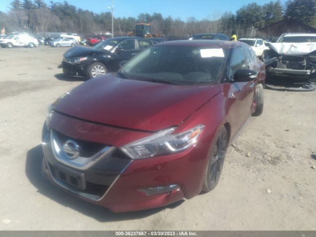 1N4AA6AP8HC412246 Nissan Maxima Sr