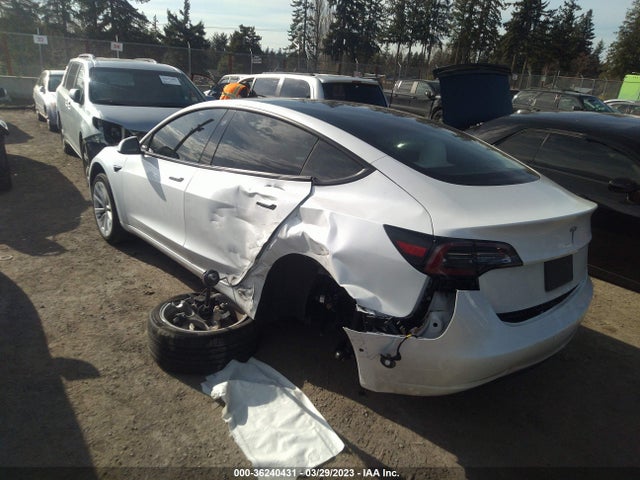 Tesla Model 3 Standard Range Plus 2021 5YJ3E1EAXMF099956 Image 3