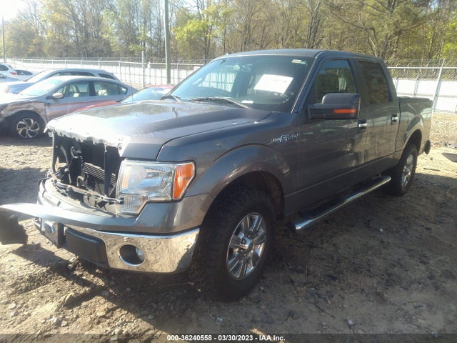 2012 FORD F-150 XL/XLT VIN: 1FTEW1CM6CKE31640