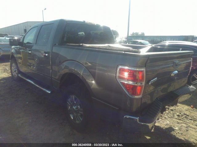 2012 FORD F-150 XL/XLT VIN: 1FTEW1CM6CKE31640