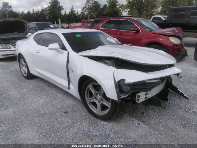 2019 1G1FB1RS7K0114426 main image