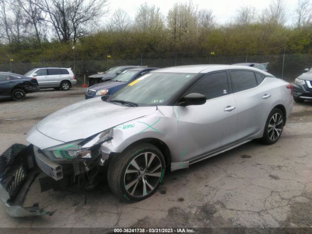 1N4AA6AP2GC429090 Nissan Maxima 3.5 S