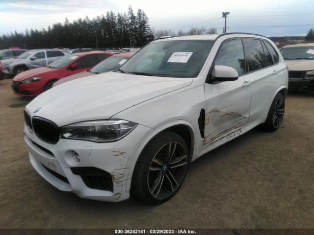 5YMKT6C51G0R78373 BMW X5 M