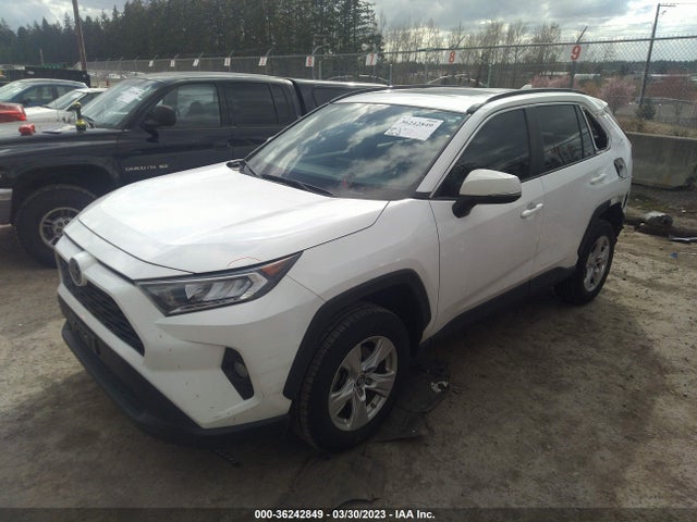 Toyota Rav4 Xle 2019 2T3P1RFV0KW015227 Image 2