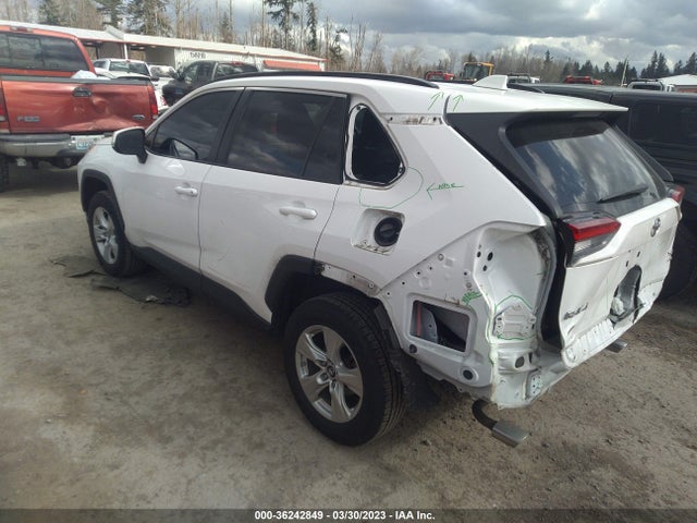 Toyota Rav4 Xle 2019 2T3P1RFV0KW015227 Image 3