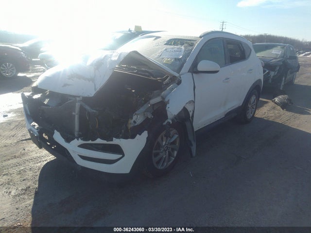Hyundai TUCSON SE 2016 KM8J33A41GU125554 Image 2