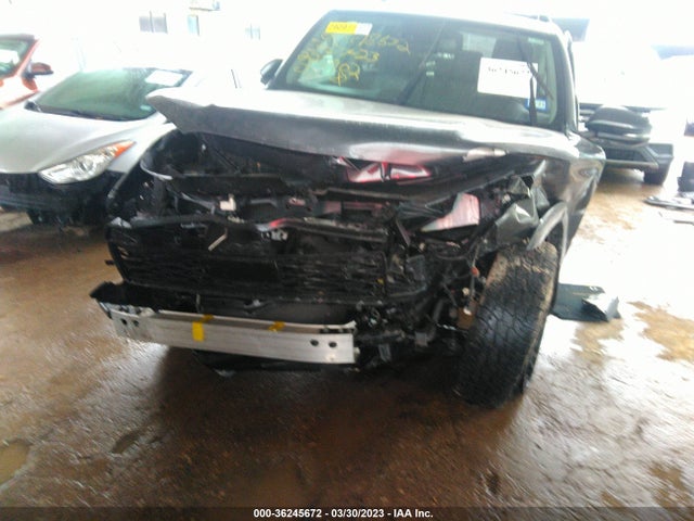 Toyota 4RUNNER SR5 2020 JTEZU5JR8L5220902 Image 6
