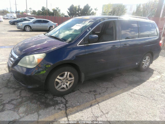 2005 HONDA ODYSSEY EX-L VIN: 5FNRL38605B108684