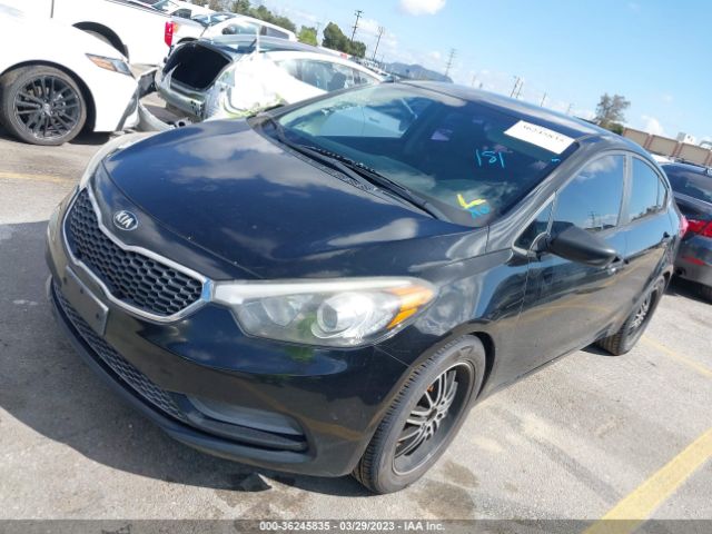 KNAFK4A60F5426844 KIA FORTE LX