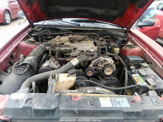 2003 FORD MUSTANG STANDARD/DELUXE/PREMIUM VIN: 1FAFP404X3F388426