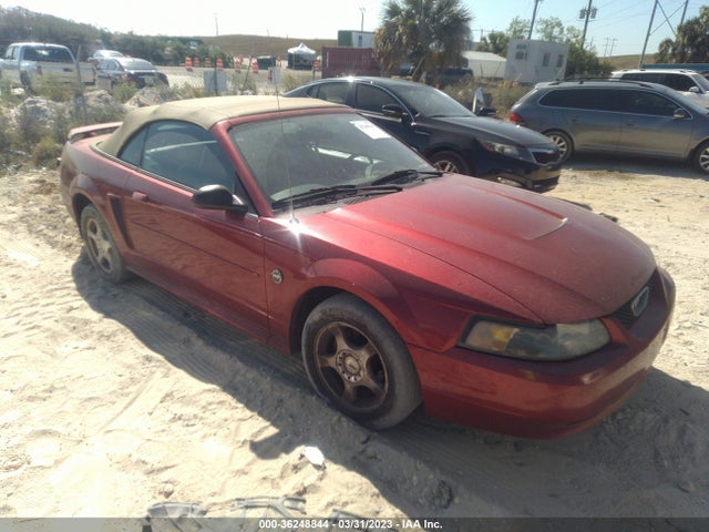 2004 FORD MUSTANG DELUXE/PREMIUM VIN: 1FAFP44634F214095