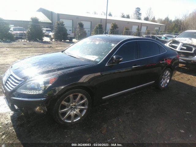 2011 HYUNDAI EQUUS SIGNATURE VIN: KMHGH4JF7BU033795