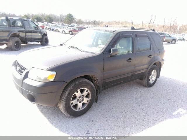 2006 FORD ESCAPE LIMITED VIN: 1FMYU04166KA29828