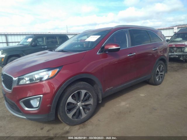5XYPHDA55GG113326 KIA SORENTO EX