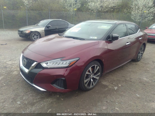Nissan MAXIMA SL 2019 1N4AA6AV8KC375835 Image 2