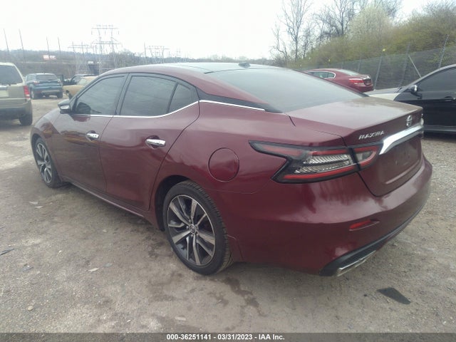 Nissan MAXIMA SL 2019 1N4AA6AV8KC375835 Image 3