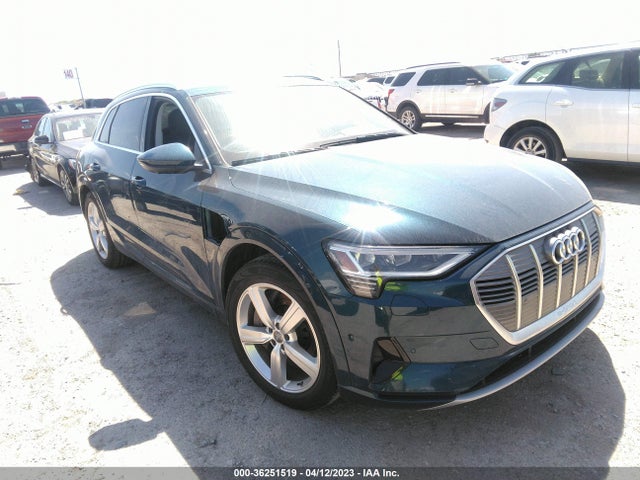 2019 Audi e-tron, VIN: WA1LAAGE2KB021841