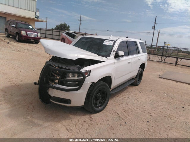 Chevrolet Tahoe Commercial 2019 1GNLCDEC9KR360601 Image 2