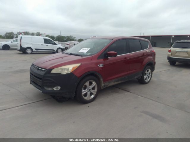 1FMCU0GX3EUB44805 Ford ESCAPE SE
