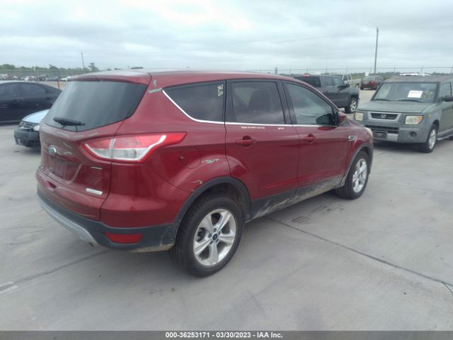 1FMCU0GX3EUB44805 Ford ESCAPE SE