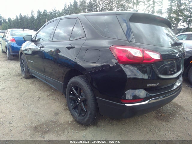Chevrolet EQUINOX LS 2019 2GNAXHEV4K6116757 Image 3