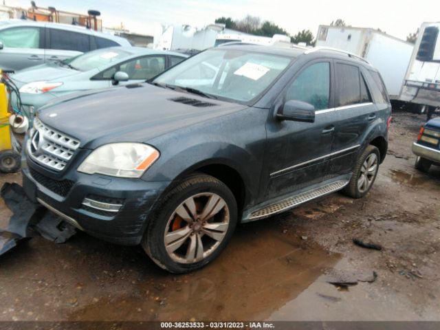 2011 MERCEDES-BENZ M-CLASS 4JGBB8GB1BA717380 Photo 1