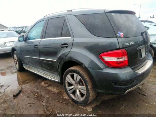 2011 MERCEDES-BENZ M-CLASS 4JGBB8GB1BA717380 Photo 2