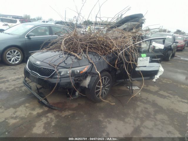 5XXGN4A74EG347288 KIA OPTIMA EX