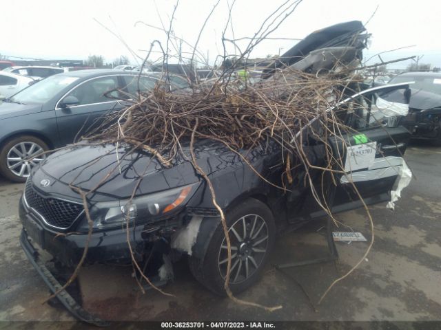 5XXGN4A74EG347288 KIA OPTIMA EX