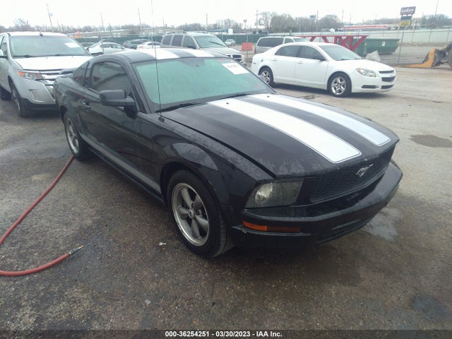 2005 FORD MUSTANG DELUXE/PREMIUM VIN: 1ZVFT80N955133505