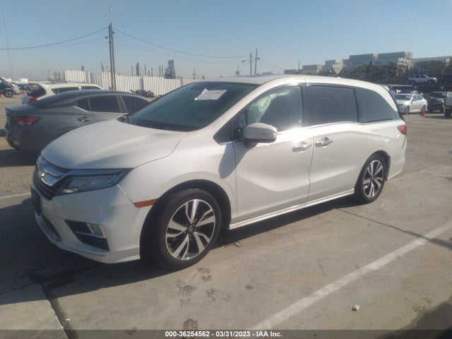 2019 HONDA ODYSSEY ELITE VIN: 5FNRL6H94KB070206