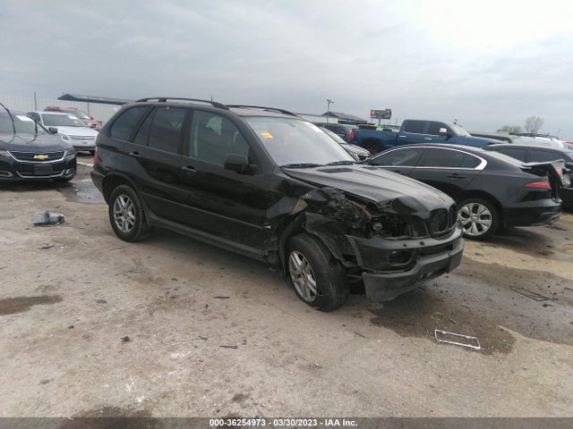 2004 BMW X5 3.0I VIN: 5UXFA13584LU32813