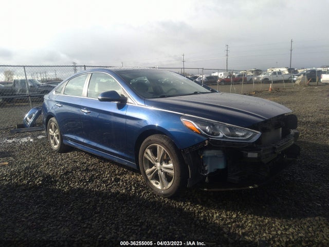 2019 5NPE34AF7KH783055 main image