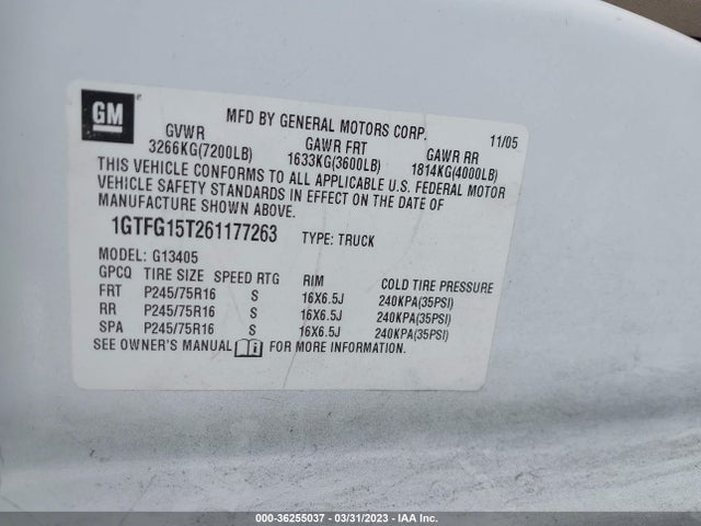 2006 GMC SAVANA CARGO VAN VIN: 1GTFG15T261177263