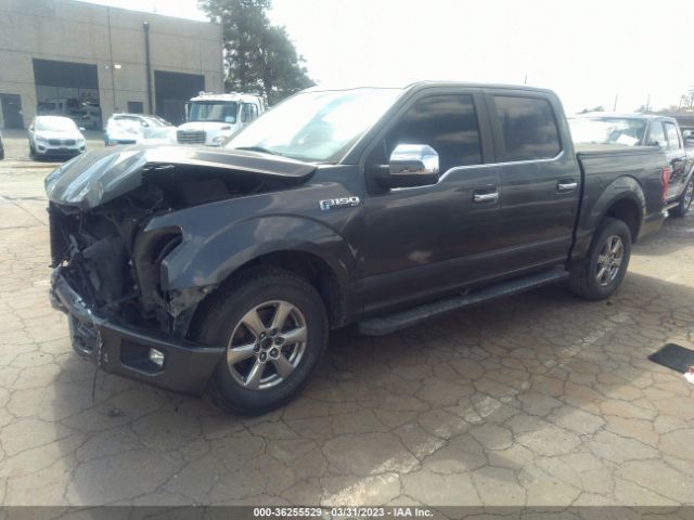 1FTEW1CF5GKE96647 Ford F-150 Xl/lariat