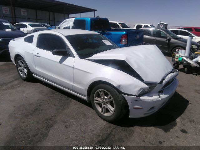 1ZVBP8AM3E5284784 auction archive image