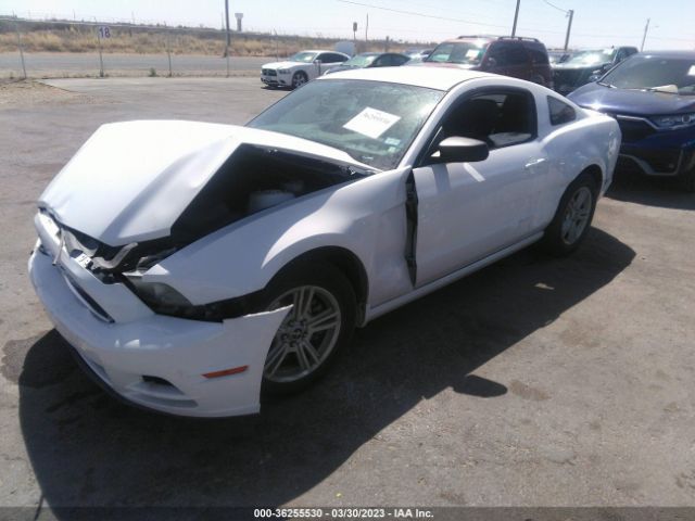 1ZVBP8AM3E5284784 Ford Mustang V6