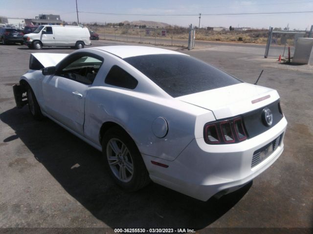 1ZVBP8AM3E5284784 Ford Mustang V6