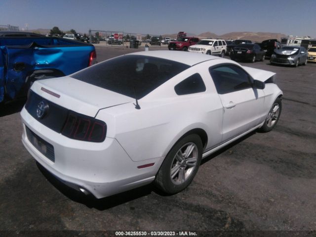 1ZVBP8AM3E5284784 Ford Mustang V6