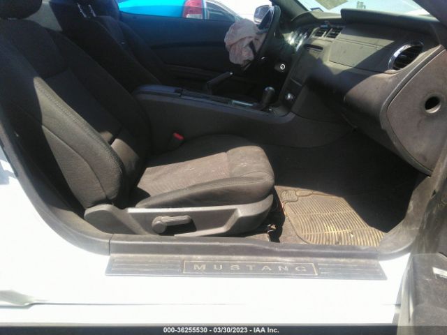 1ZVBP8AM3E5284784 Ford Mustang V6