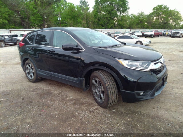 2019 5J6RW1H83KA024970 main image