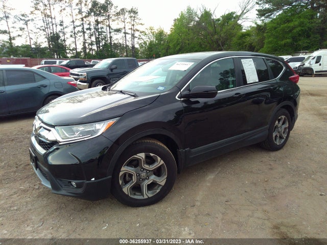 Honda Cr-v Ex-l 2019 5J6RW1H83KA024970 Image 2