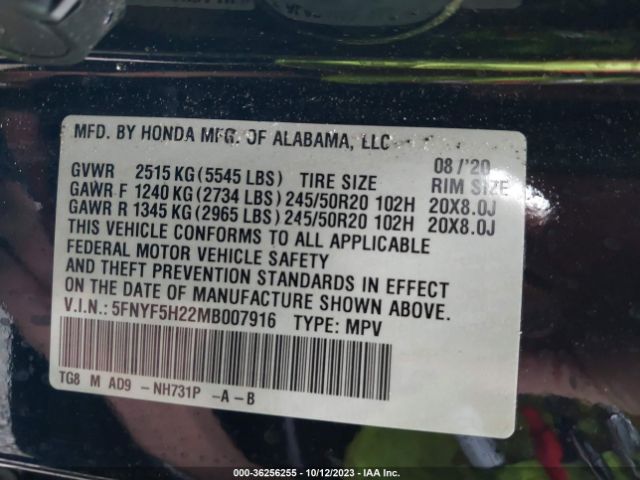 5FNYF5H22MB007916 Honda Pilot Special Edition
