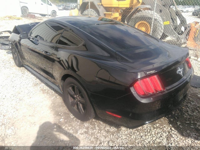 Ford Mustang V6 2017 1FA6P8AM0H5335303 Image 3